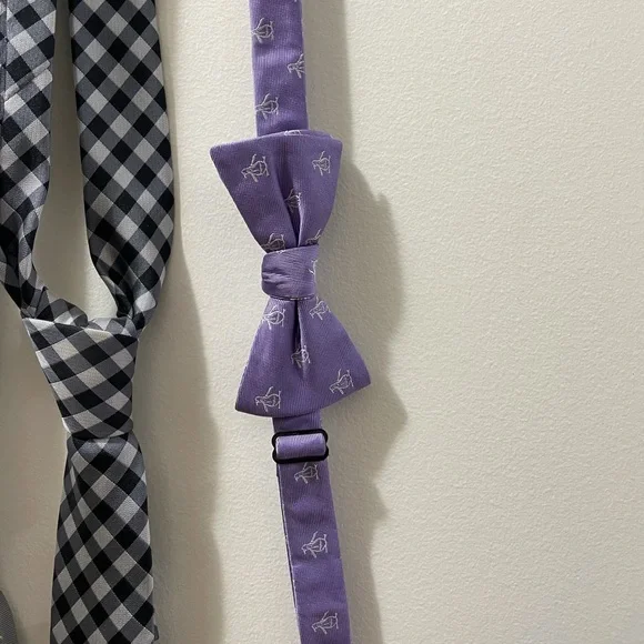 Ties - Picture 2 of 5